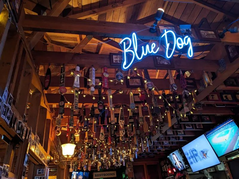 Vibe Blue Dog Beer Tavern 1