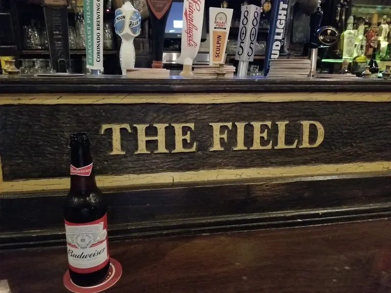 Vibe The Field Irish Pub 2