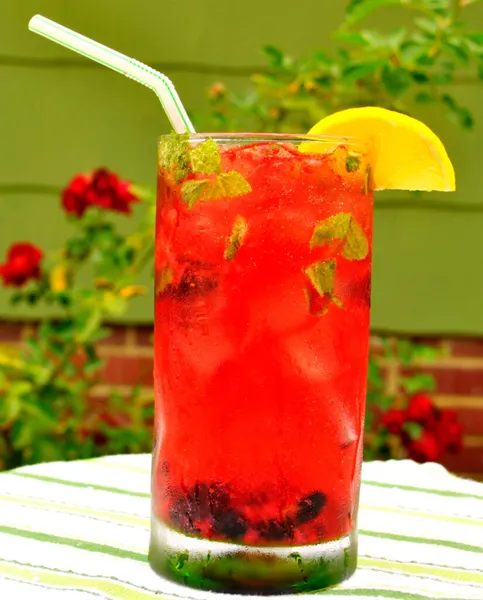 Berry Mojito The Nectar