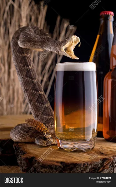 Snakebite Trials Pub